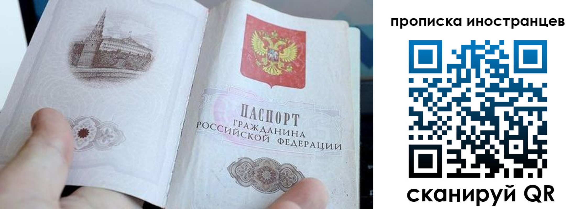прописка поиск в Петровске